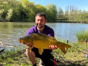 Mirror Carp