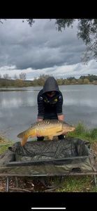 Carpe miroirs 