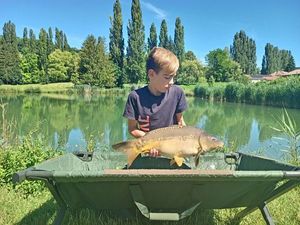 Mirror Carp