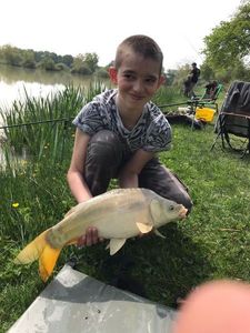 Common Carp