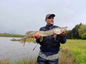 Northern Pike