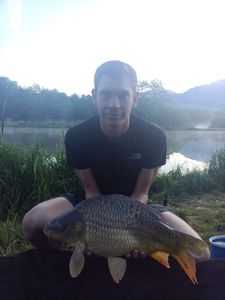 Common Carp