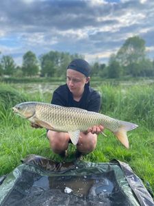 Grass Carp