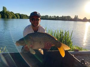 Mirror Carp