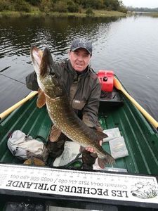 Northern Pike