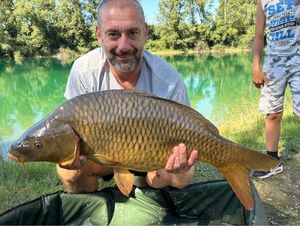 Common Carp