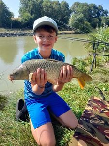 Common Carp