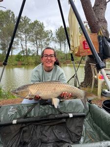 Grass Carp
