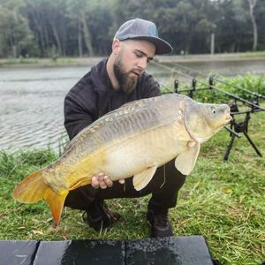 Mirror Carp