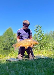 Common Carp