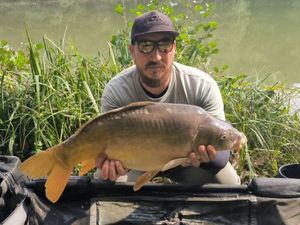 Mirror Carp