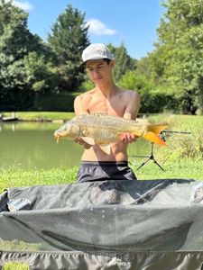 Mirror Carp
