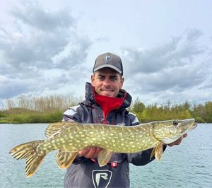 Northern Pike