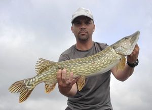 Northern Pike