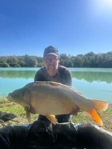 Mirror Carp