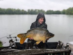 Mirror Carp
