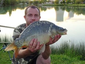 Mirror Carp