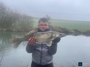 Zander