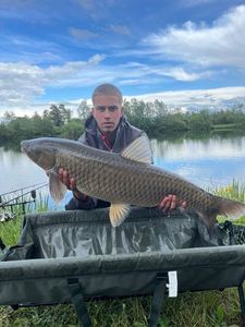 Grass Carp