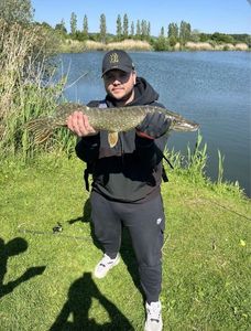 Northern Pike
