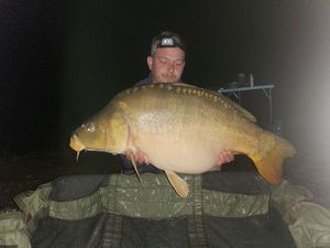 Mirror Carp