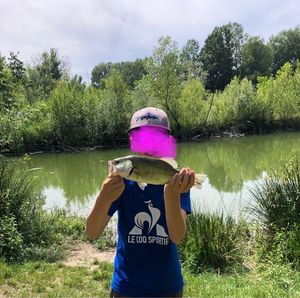 Largemouth Bass