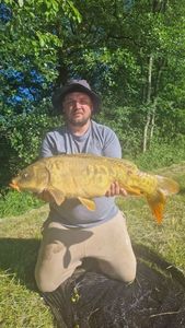 Mirror Carp