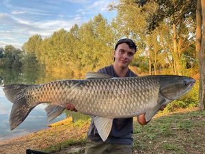 Grass Carp