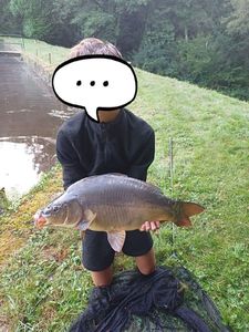 Mirror Carp
