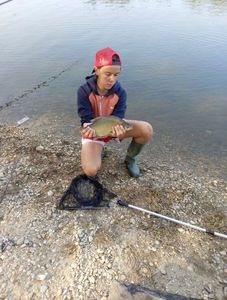 Common Bream