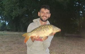 Mirror Carp