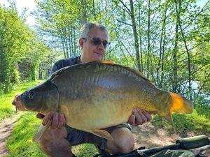 Mirror Carp