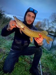 Northern Pike