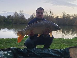 Leather Carp