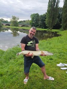 Northern Pike