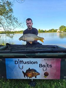Mirror Carp