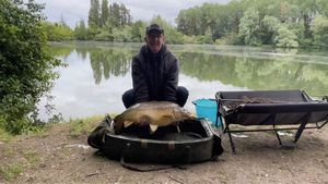 Mirror Carp