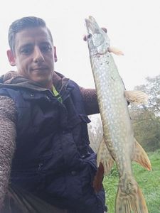 Northern Pike