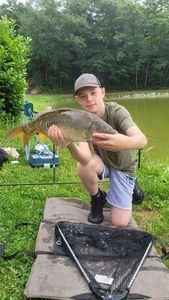Mirror Carp