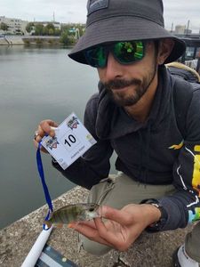 European Perch