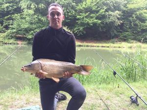 Common Carp
