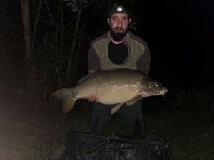Mirror Carp