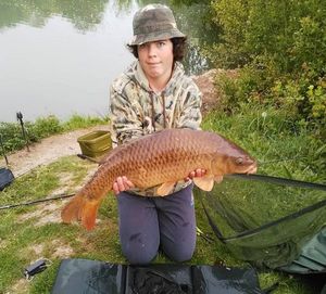 Common Carp