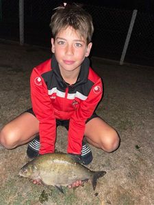 Common Bream