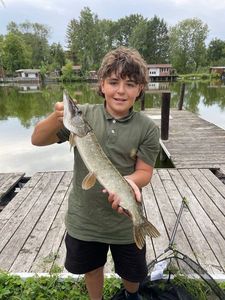 Northern Pike