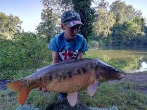 Mirror Carp