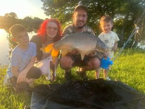 Common Carp