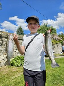 Rainbow Trout