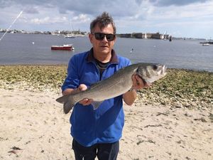 European Bass (Seabass)