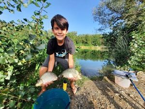 Crucian Carp
